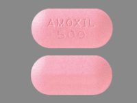Amoxicillin (Generic)